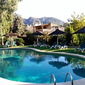 book here